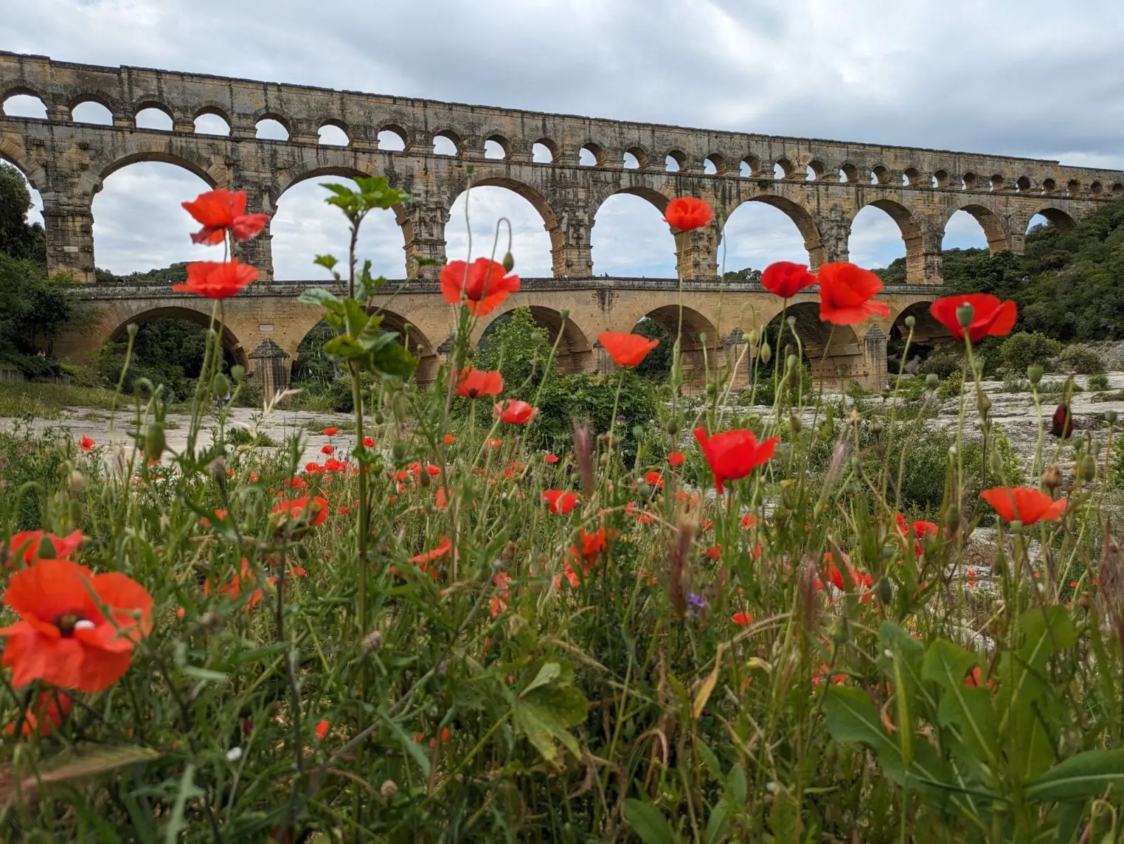Pont du Gard with poppies