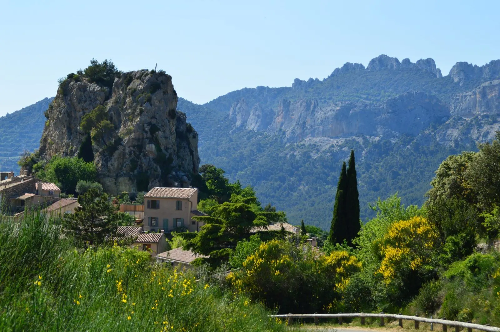 Panoramic vineyard views